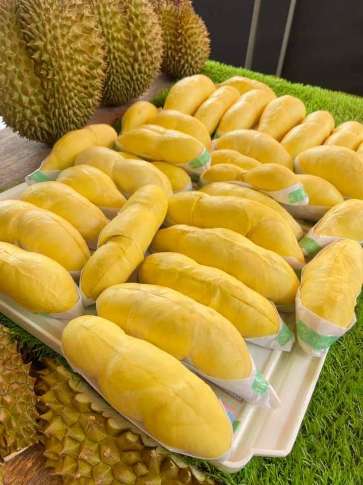 Bốn ngày, một thỏa thuận: hành trình 13–16/07/2026