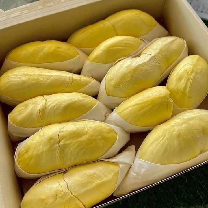 Nông dân và cái bẫy mã số vùng trồng