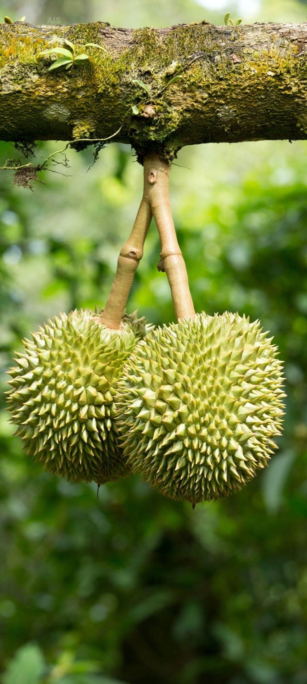 Dòng tiền đi một đằng, hồ sơ đi một nẻo — đọc đúng để không vướng vòng lao lý