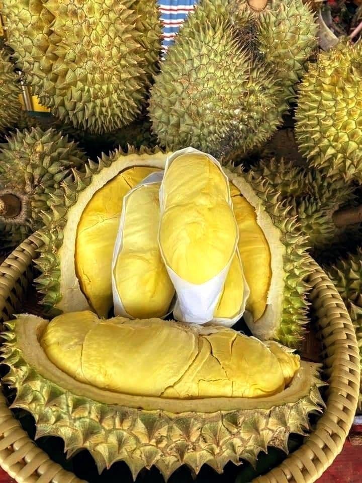 Minh bạch không phải gánh nặng — nó là tài sản đắt giá nhất