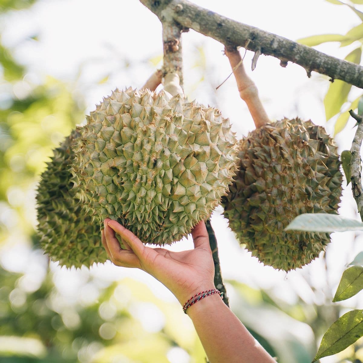 Đếm ngược đến 13/07: ba lý do ông không thể vắng mặt
