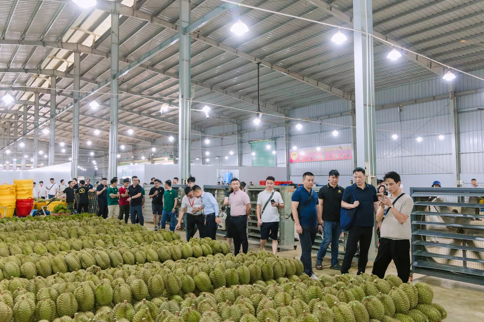 Đoàn đại biểu tham quan xưởng phân loại và đóng gói sầu riêng quy mô lớn với hệ thống giá kệ và khối hàng trải dài tại Đắk Lắk